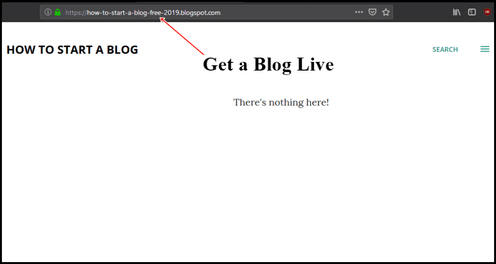 step 3 get blog online to Start a Blog