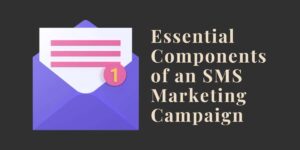 Essential Components of an SMS Marketing Campaign