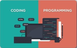 Differences Between Coding and Programming