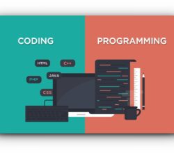 Top 5 Differences Between Coding and Programming
