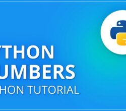 A Detailed Tutorial About Numbers in Python